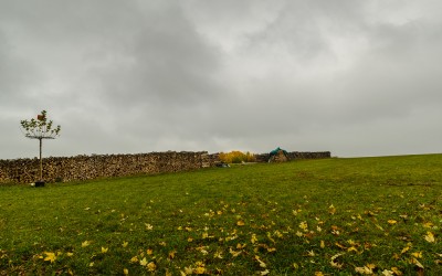 Nebelspaziergang