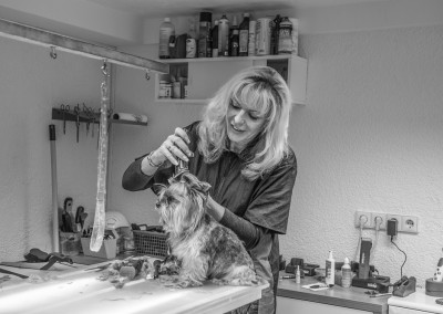 Ellen S., Hundefriseurin (Groomer)
