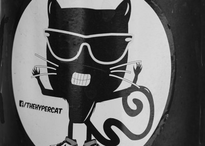 Aufkleber Kampfkater