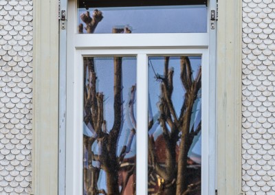 Spiegelung in einem Fenster