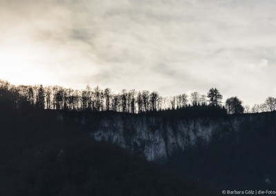 Waldsilhouette am Albtrauf