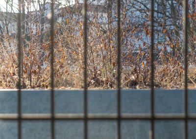 Gestrüpp hinter Gittern