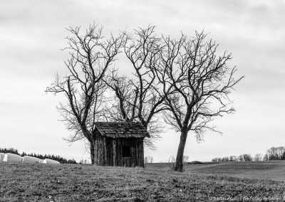 Eninger Ebene mit Hütte