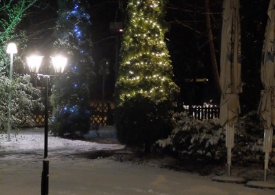 Winterabend mit Weihnachtsbaum