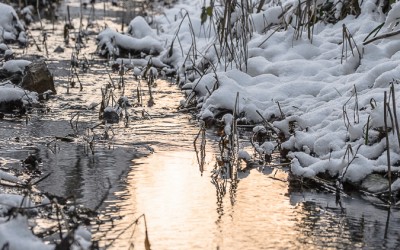 365 Tage: Woche 17