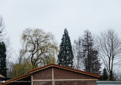 Bäume über einem Hausdach: Bäume über einem Hausdach