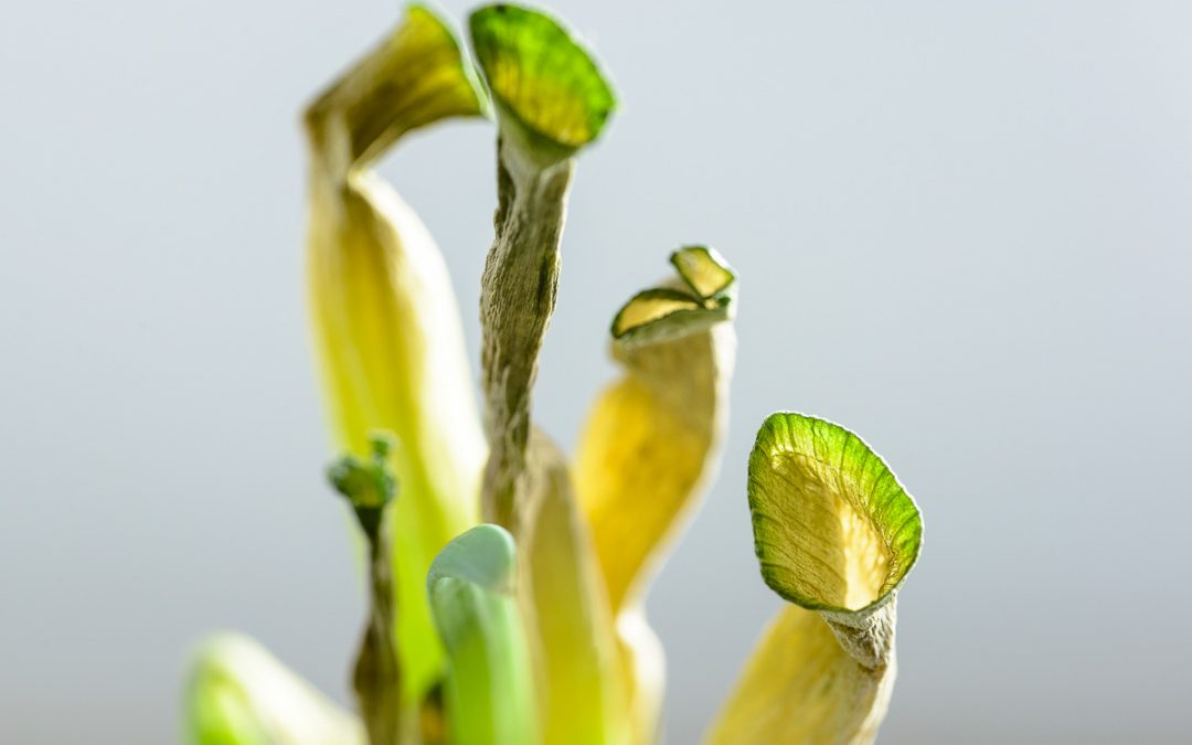 365 Tage: Woche 30