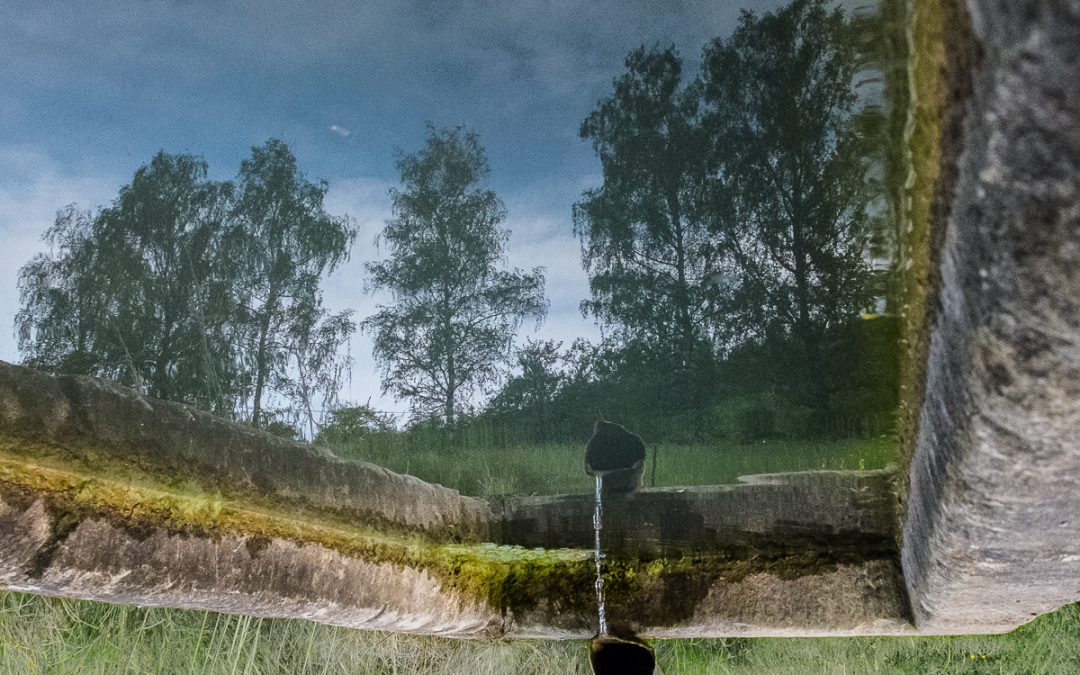 365 Tage: Woche 34