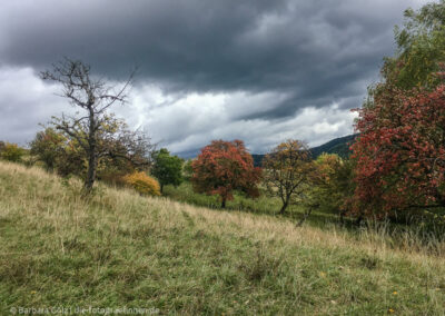 Herbstlandschaft vor dunklen Wolken