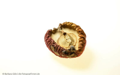 365 Tage/II: Woche 2
